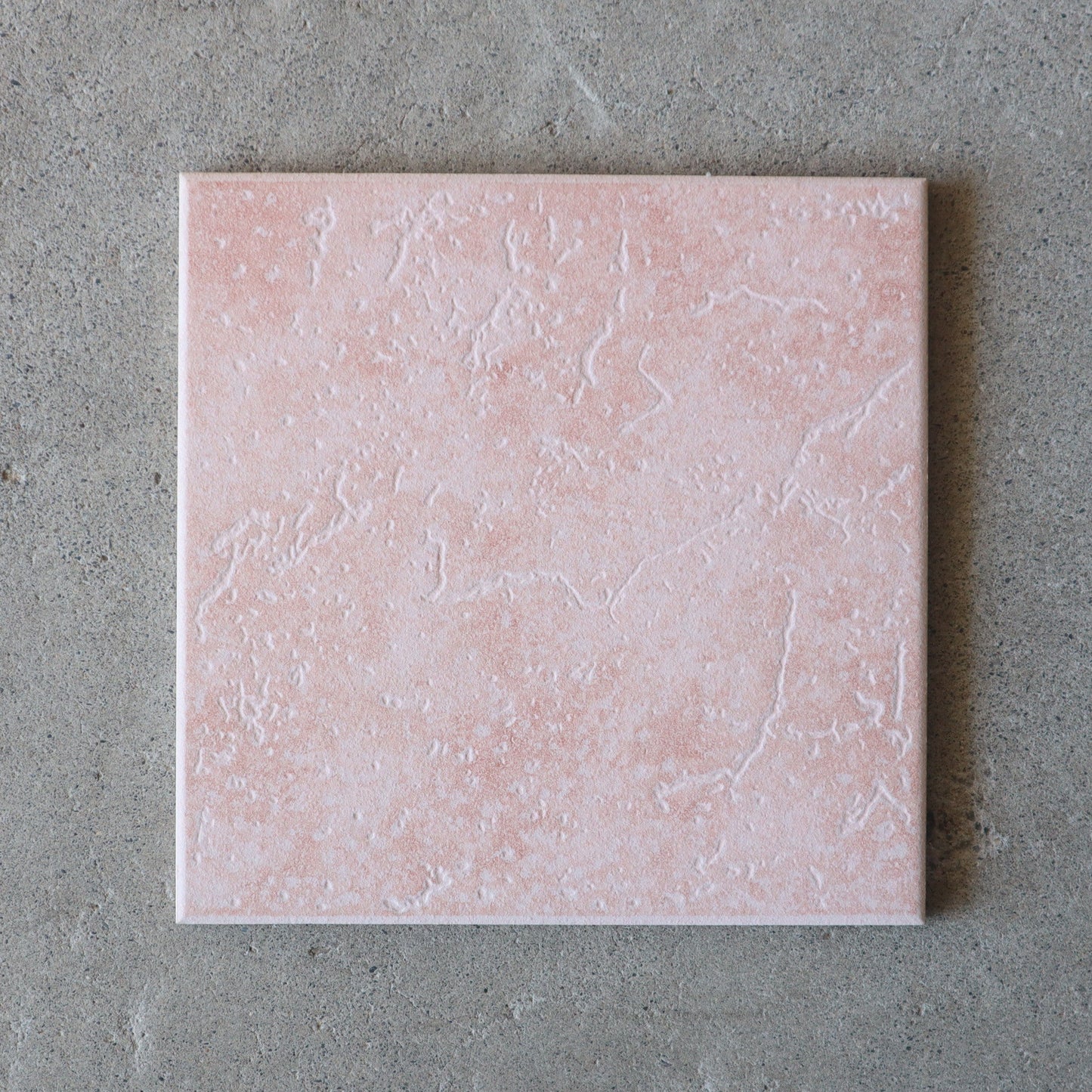 アダン【ニッタイ】ADN-20-60 ｜デッドストックタイル