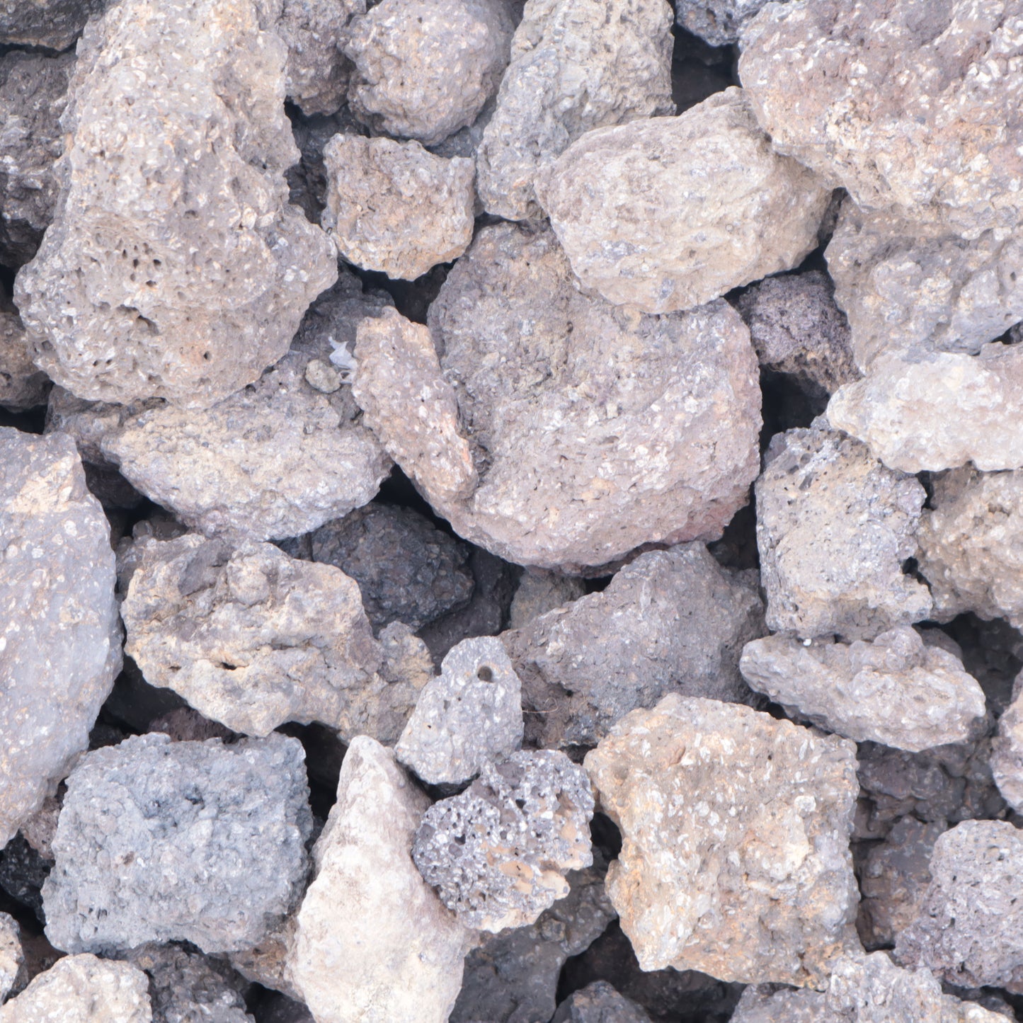 富士山溶岩10kgセット