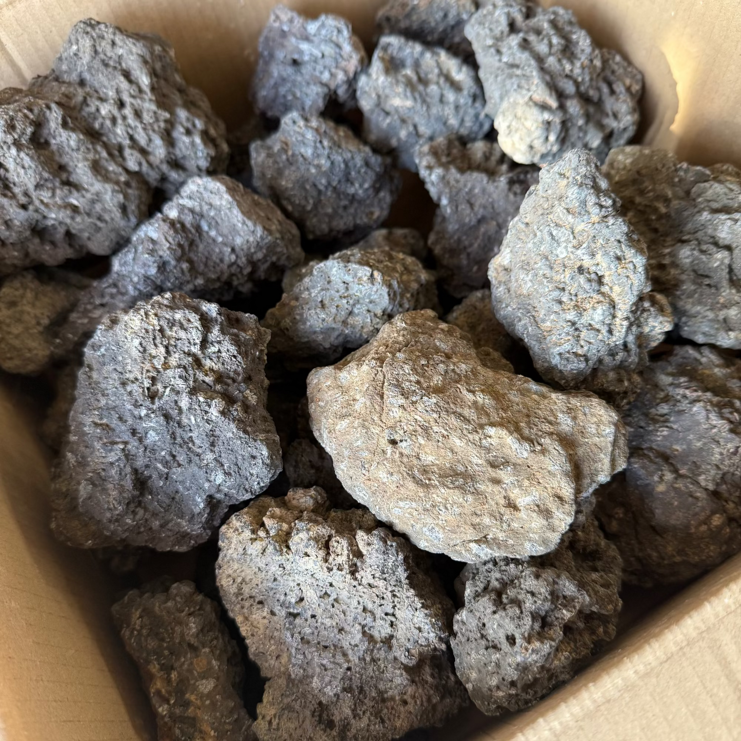 富士山溶岩10kgセット