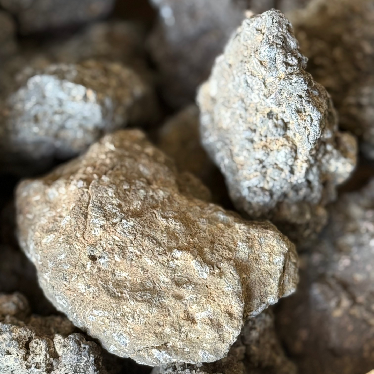 富士山溶岩10kgセット