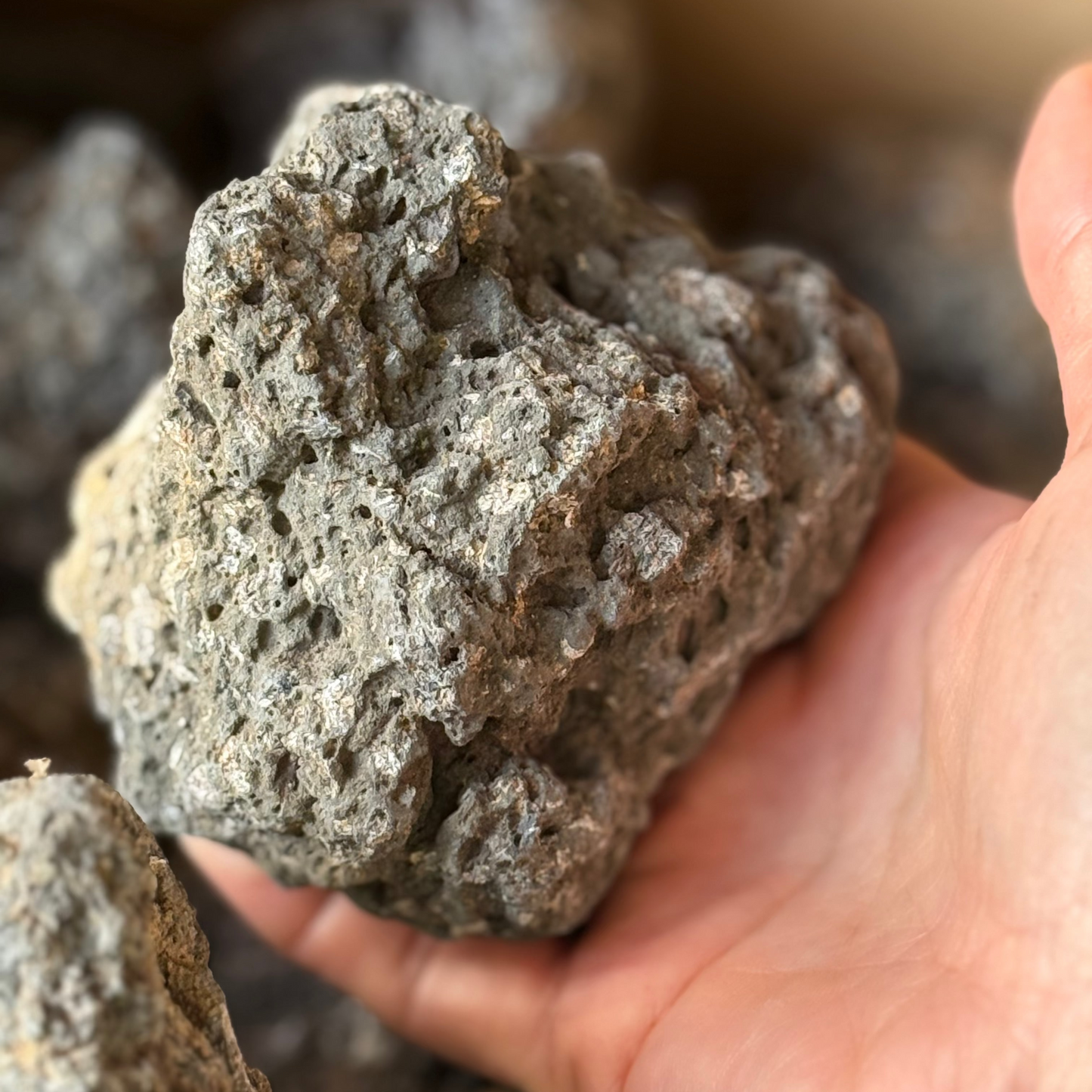 富士山溶岩10kgセット