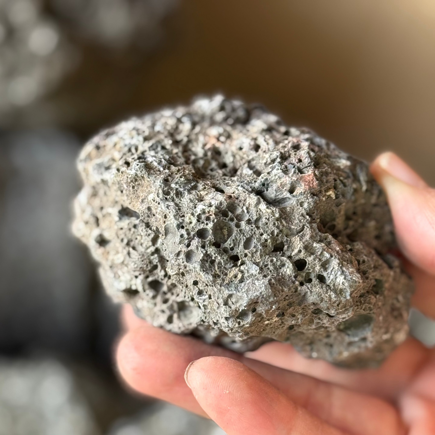 富士山溶岩10kgセット