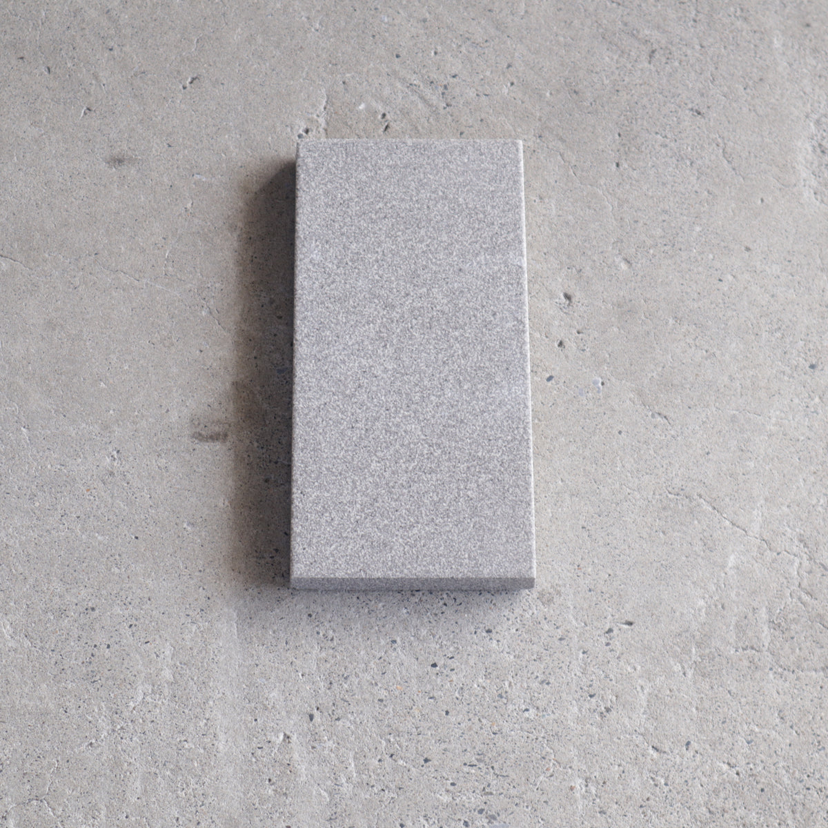vigranit　【Röben】100×200 ｜ デッドストックタイル